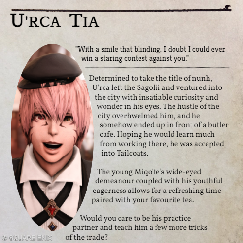 ☀️😺⭐(Light RP, OOC)